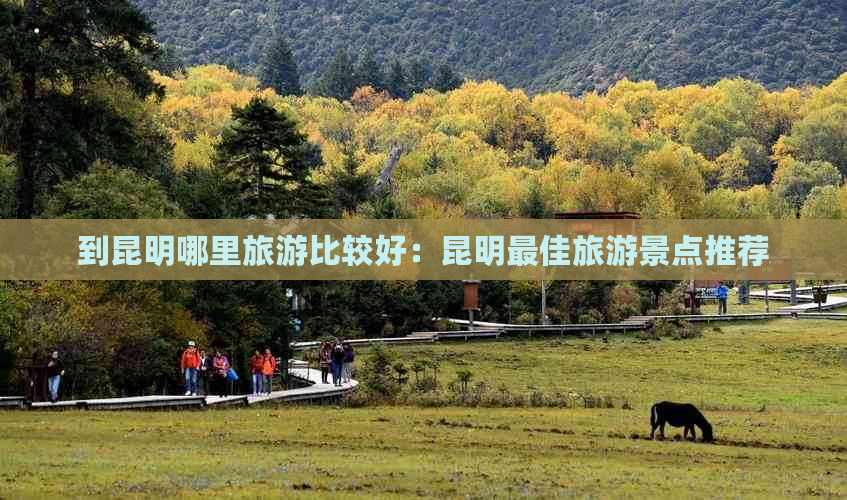 到昆明哪里旅游比较好：昆明更佳旅游景点推荐