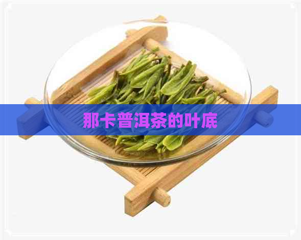 那卡普洱茶的叶底