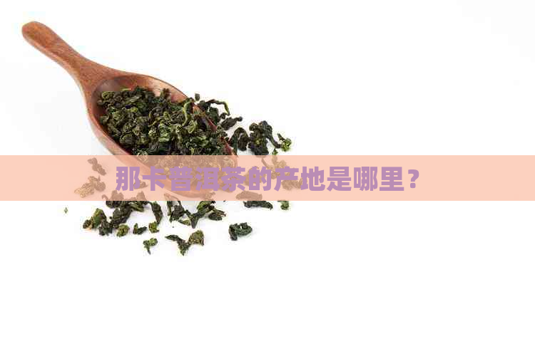 那卡普洱茶的产地是哪里？