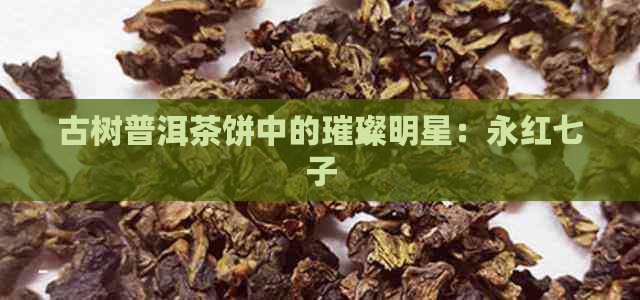 古树普洱茶饼中的璀璨明星：永红七子