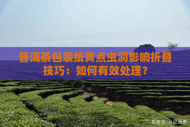 普洱茶包装纸黄点虫洞影响折叠技巧：如何有效处理？