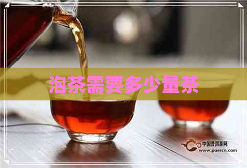 泡茶需要多少量茶