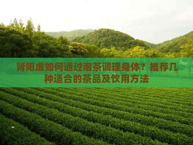 肾阳虚如何通过泡茶调理身体？推荐几种适合的茶品及饮用方法