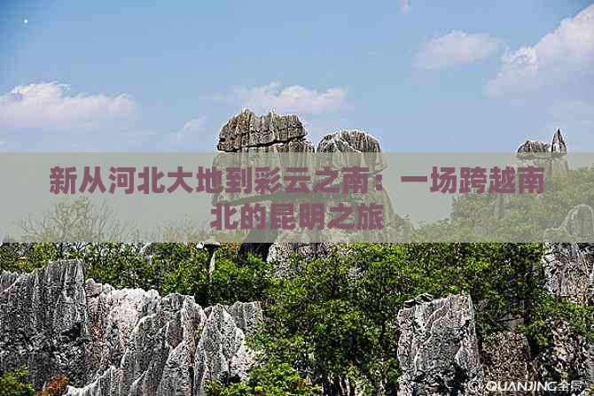 新从河北大地到彩云之南：一场跨越南北的昆明之旅