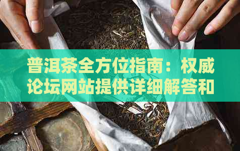 普洱茶全方位指南：权威论坛网站提供详细解答和深入探讨