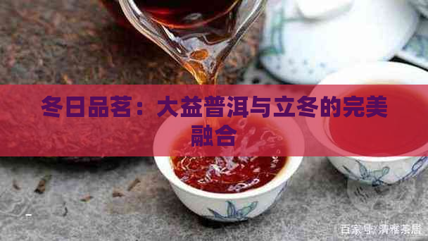 冬日品茗：大益普洱与立冬的完美融合