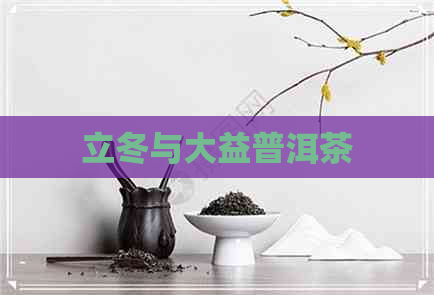 立冬与大益普洱茶