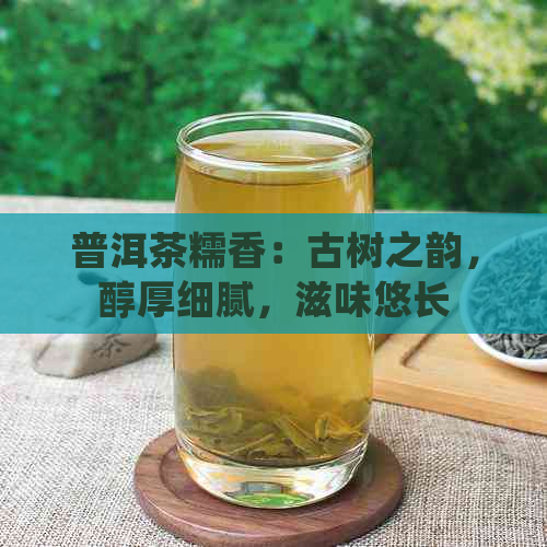 普洱茶糯香：古树之韵，醇厚细腻，滋味悠长