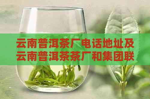 云南普洱茶厂电话地址及云南普洱茶茶厂和集团联系方式