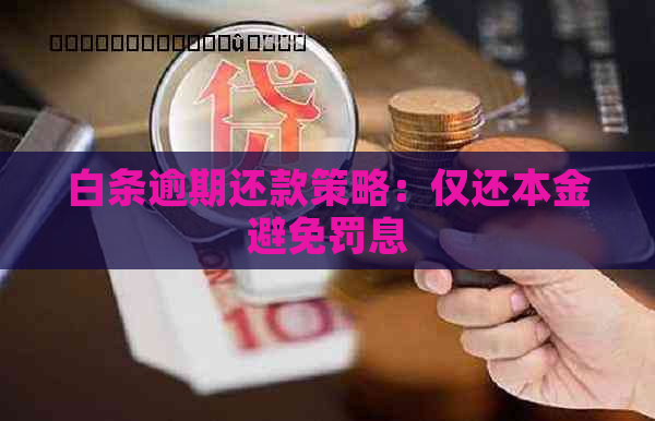 白条逾期还款策略：仅还本金避免罚息