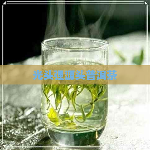 光头强源头普洱茶