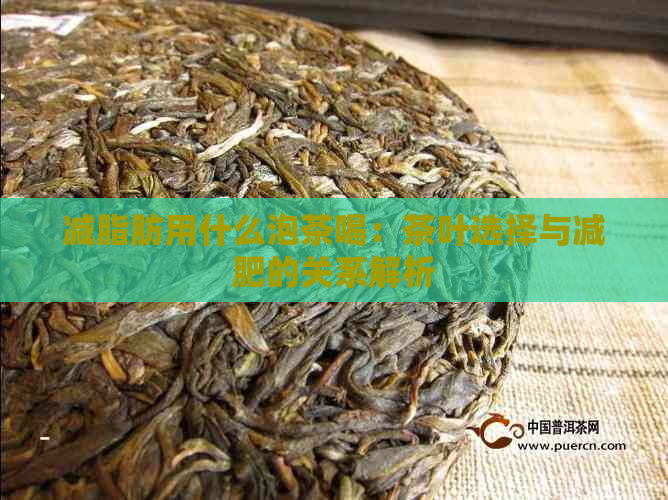 减脂肪用什么泡茶喝：茶叶选择与减肥的关系解析