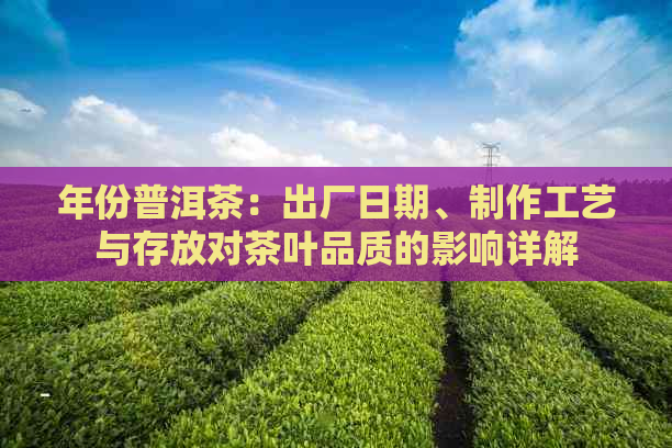 年份普洱茶：出厂日期、制作工艺与存放对茶叶品质的影响详解