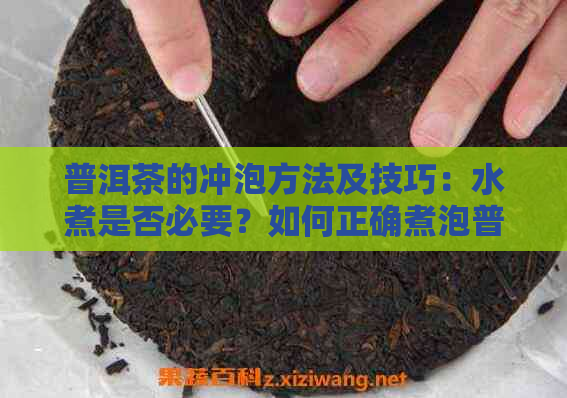 普洱茶的冲泡方法及技巧：水煮是否必要？如何正确煮泡普洱茶？