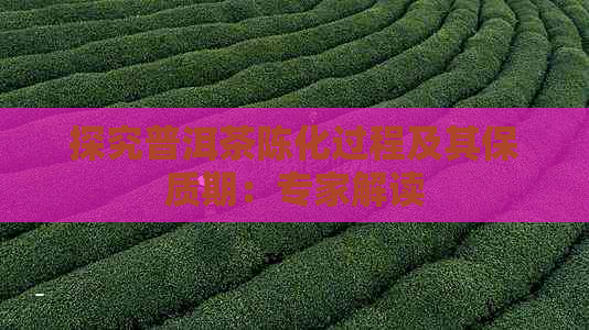 探究普洱茶陈化过程及其保质期：专家解读