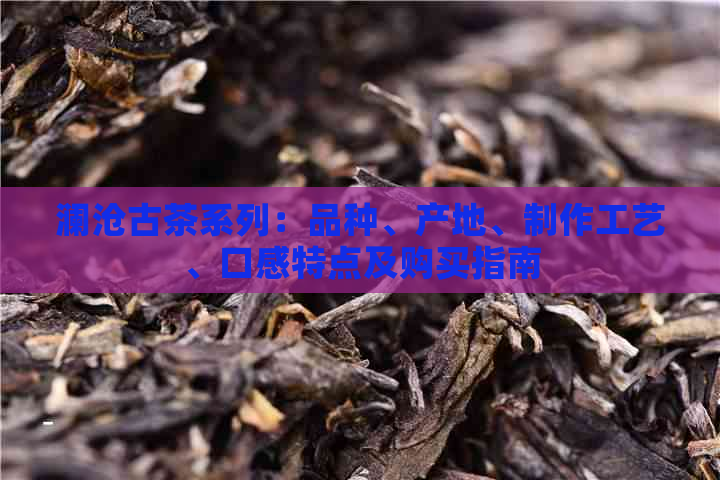 澜沧古茶系列：品种、产地、制作工艺、口感特点及购买指南