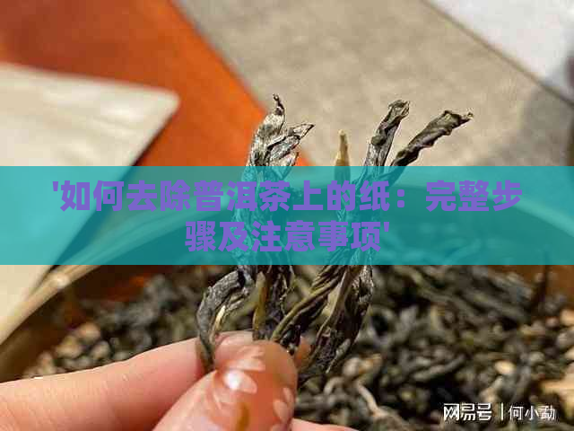 '如何去除普洱茶上的纸：完整步骤及注意事项'