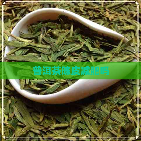 普洱茶陈皮减肥吗