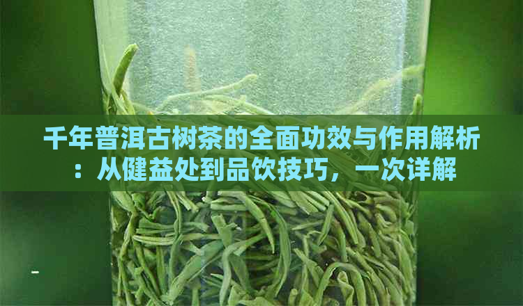 千年普洱古树茶的全面功效与作用解析：从健益处到品饮技巧，一次详解