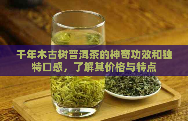 千年木古树普洱茶的神奇功效和独特口感，了解其价格与特点