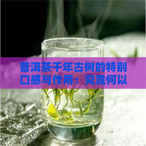 普洱茶千年古树的特别口感与作用：究竟何以成为茶界瑰宝？