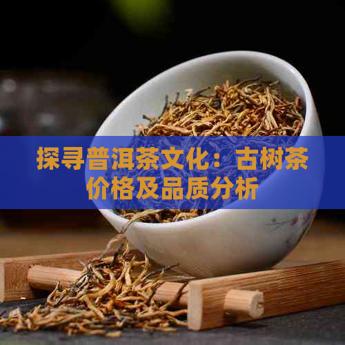 探寻普洱茶文化：古树茶价格及品质分析