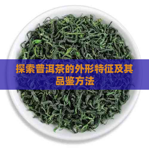 探索普洱茶的外形特征及其品鉴方法