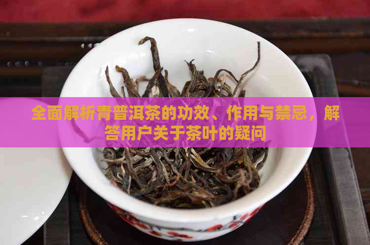 全面解析青普洱茶的功效、作用与禁忌，解答用户关于茶叶的疑问