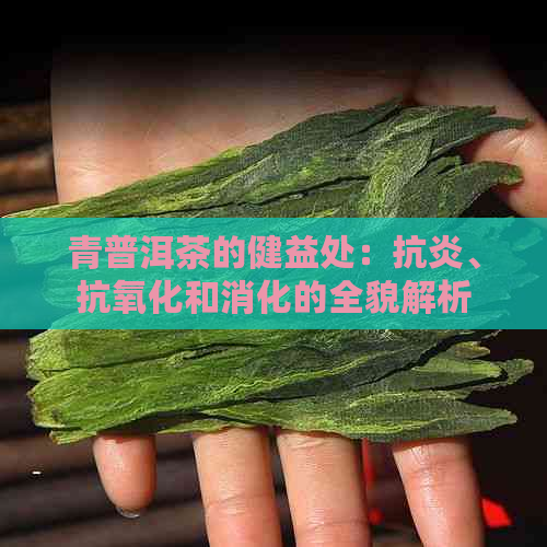 青普洱茶的健益处：抗炎、抗氧化和消化的全貌解析