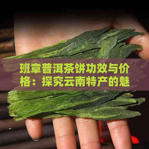 班章普洱茶饼功效与价格：探究云南特产的魅力与价值