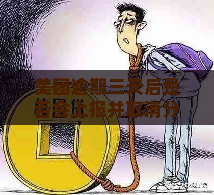 美团逾期三天后是否会上报并取消分期付款？这是真的吗？