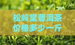 松岭堂普洱茶价格多少一斤：全面解析与比较