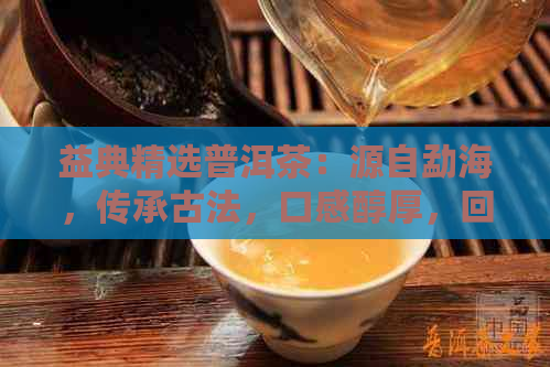 益典精选普洱茶：源自勐海，传承古法，口感醇厚，回味悠长