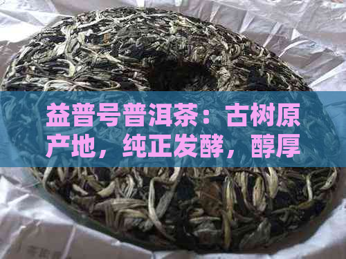 益普号普洱茶：古树原产地，纯正发酵，醇厚口感的秘密