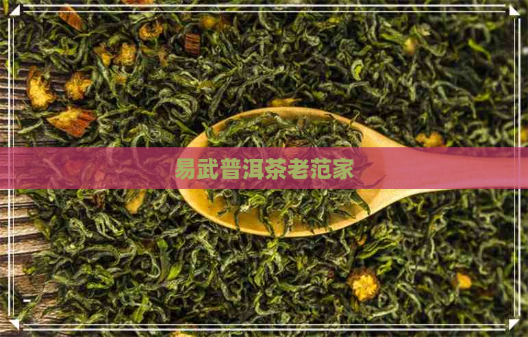 易武普洱茶老范家