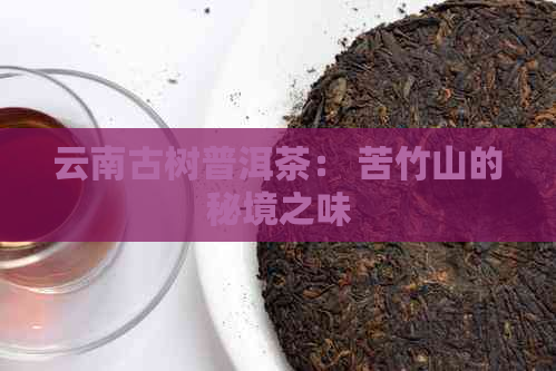 云南古树普洱茶： 苦竹山的秘境之味