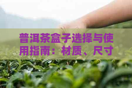 普洱茶盒子选择与使用指南：材质、尺寸、存方法等全面解析