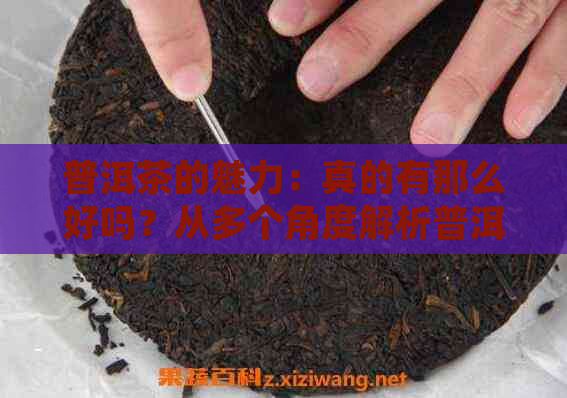 普洱茶的魅力：真的有那么好吗？从多个角度解析普洱茶的优缺点