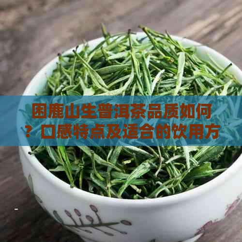 困鹿山生普洱茶品质如何？口感特点及适合的饮用方式解析