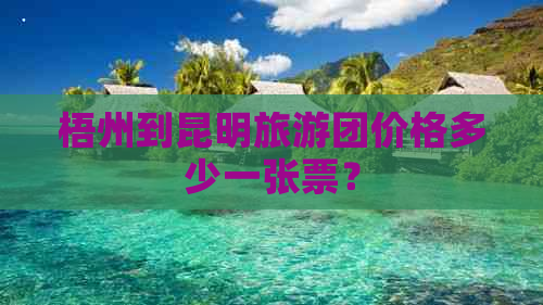 梧州到昆明旅游团价格多少一张票？