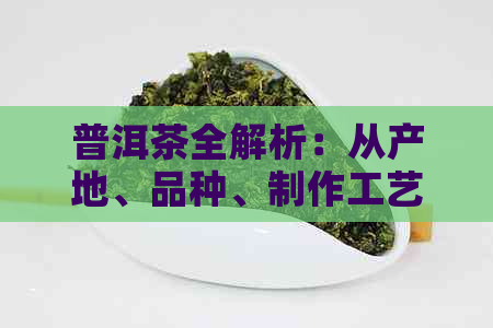 普洱茶全解析：从产地、品种、制作工艺到品鉴方法，一文了解所有你想知道的