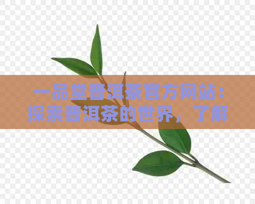 一品堂普洱茶官方网站：探索普洱茶的世界，了解选购、冲泡与品鉴技巧