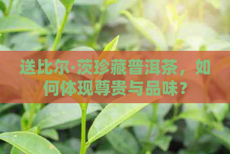 送比尔·茨珍藏普洱茶，如何体现尊贵与品味？