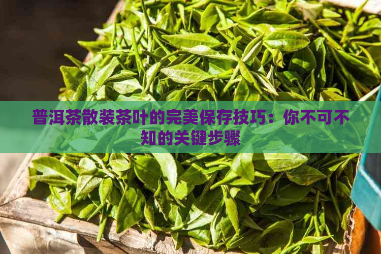 普洱茶散装茶叶的完美保存技巧：你不可不知的关键步骤