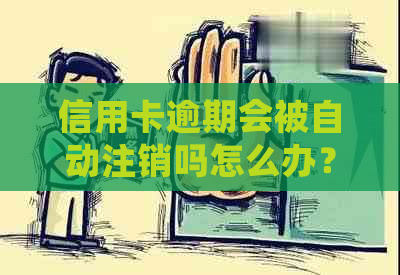 信用卡逾期会被自动注销吗怎么办？