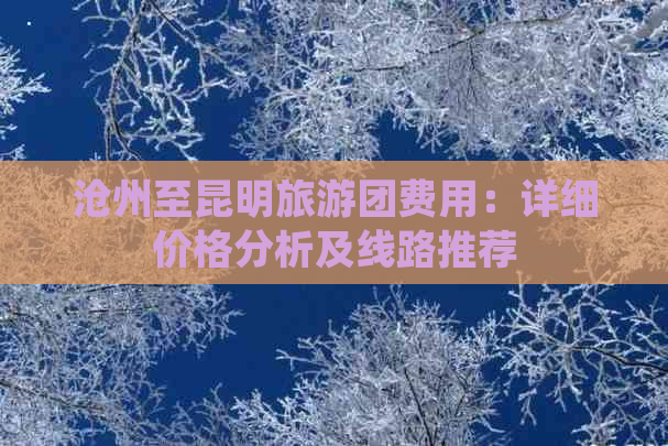 沧州至昆明旅游团费用：详细价格分析及线路推荐