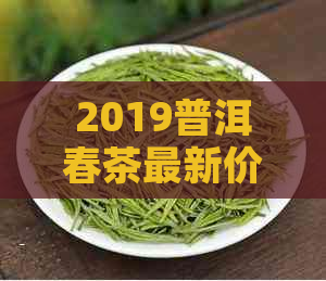 2019普洱春茶最新价格行情表