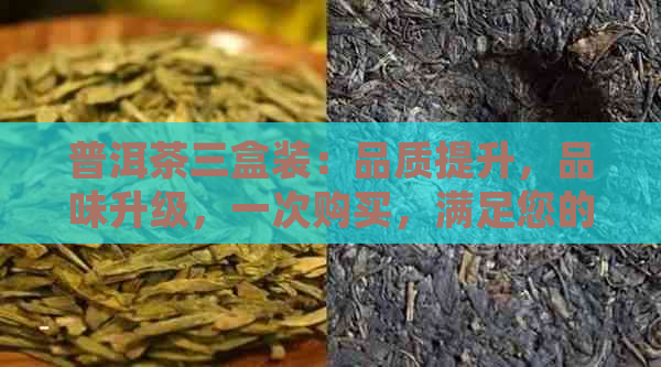 普洱茶三盒装：品质提升，品味升级，一次购买，满足您的多重需求