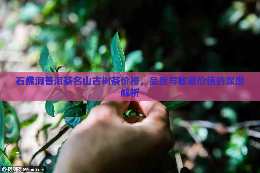 石佛洞普洱茶名山古树茶价格，品质与收藏价值的深度解析