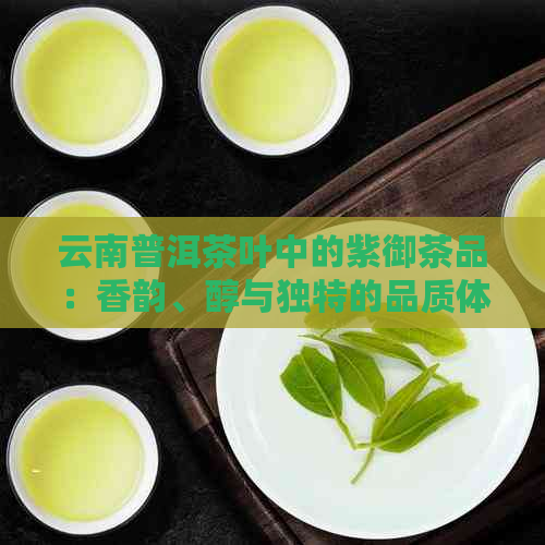 云南普洱茶叶中的紫御茶品：香韵、醇与独特的品质体验